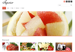 ˮ��ƴ����ʳhtml��վģ��