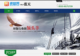 �������Ż�е����ҵ��վ֯��ģ��